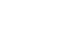 aviowiki logo